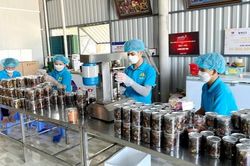 Cà Mau 'khát' nhân lực chất lượng cao, cần hơn 11.700 lao động