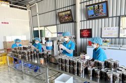 Cà Mau 'khát' nhân lực chất lượng cao, cần hơn 11.700 lao động