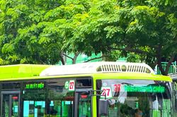 TP Hồ Chí Minh đặt nhiều mục tiêu cho xe buýt