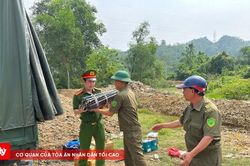 Tiêu hủy hàng trăm khẩu súng, công cụ hỗ trợ