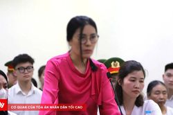 Chuẩn bị xét xử phúc thẩm vụ cựu hiệu trưởng Trường THCS Ba Đình thu tiền dạy thêm
