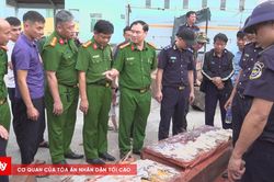 Bóc trần thủ đoạn giấu hơn 1,1 tấn ngà voi