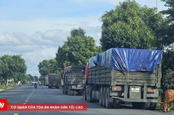 Huế: Quốc lộ 49 phân luồng xe rơ-moóc từ 15/8