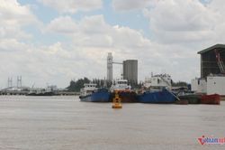 An Giang thay đổi phương thức truyền thông, quyết tâm gỡ thẻ vàng IUU