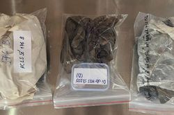 9 chiếc khăn quàng cổ hé mở danh tính liệt sĩ ở công viên Lê Thị Riêng