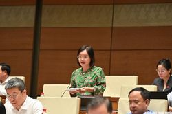 ĐBQH tỉnh Nghệ An đề xuất tháo gỡ điểm nghẽn thủ tục trong nông nghiệp và môi trường