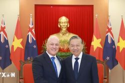 Nâng tầm quan hệ Việt Nam-New Zealand, mở ra những chặng đường hợp tác mới