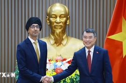 Thủ tướng Lê Minh Hưng tiếp các Đại sứ Singapore và Israel