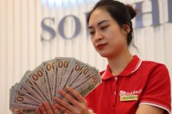 Cuối ngày giá vàng tăng 500.000 đồng, tỷ giá USD tại nhiều ngân hàng giảm mạnh
