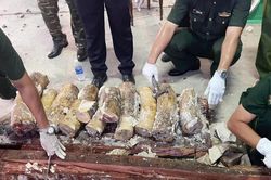 Phát hiện hơn 1.193 kg ngà voi và 79,3 kg xương động vật hoang dã từ châu Phi