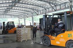 Tìm lời giải cho bài toán nhân lực logistics tại cửa khẩu