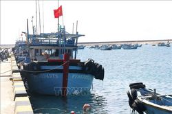 Khắc phục 'thẻ vàng' IUU: Thiết lập 2 điểm lên cá tạm tại Phú Quý