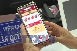 Định hình thế hệ công dân số cho mục tiêu phát triển bền vững