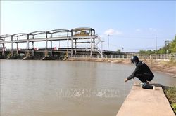 Xây dựng kịch bản ứng phó xâm nhập mặn mùa khô 2026-2027