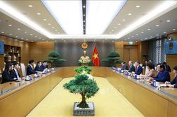 Thủ tướng Lê Minh Hưng: Nâng cao hiệu quả triển khai các cơ chế hợp tác Việt Nam - Singapore
