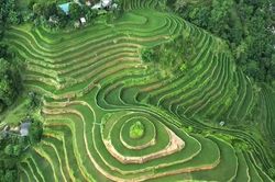 Phát triển du lịch sinh thái - Chìa khóa giữ màu xanh đại ngàn