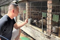 Từng mất trắng hàng trăm con chồn, anh nông dân xứ Nghệ làm lại và thu 2 tỷ đồng/năm