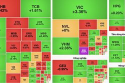 VN-Index tăng gần 20 điểm, nhóm bất động sản và năng lượng dẫn dắt