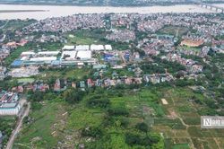 Đất trong quy hoạch nhưng chưa thu hồi có được cấp Giấy chứng nhận quyền sử dụng đất?
