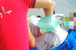 Bị ong đốt vẫn đi đón cháu, cụ ông 80 tuổi suýt mất mạng khi vừa về nhà