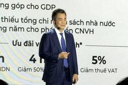 Chủ tịch công ty đứng sau Anh Trai Say Hi: Nghệ sĩ đã là cổ đông, muốn mỗi gia đình Việt góp vốn