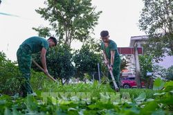 Tây Ninh tư vấn học nghề, hỗ trợ việc làm cho thanh niên xuất ngũ