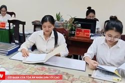 TAND khu vực 11- Cần Thơ tích cực thực hiện cao điểm '90 ngày giải quyết đơn, án'