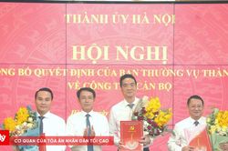 Hà Nội: Điều động, phân công, chỉ định 3 Thành ủy viên