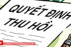 Lý do thu hồi khu hơn 4.000m² đất của Công ty Cổ phần Đầu tư Phát triển địa ốc Gia Long