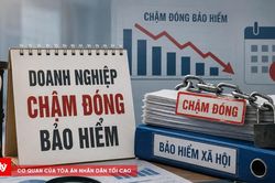 Hơn 150 tỷ đồng doanh nghiệp chậm đóng bảo hiểm ở Cà Mau