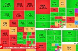 Chứng khoán ngày 12/8: VN-Index lấy lại đà tăng, đóng cửa ở 1.793,18 điểm