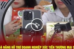 Đà Nẵng hỗ trợ doanh nghiệp xúc tiến thương mại số