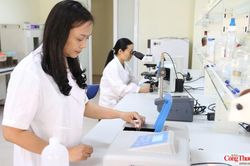 Bộ Công Thương thông báo kế hoạch đặt hàng nhiệm vụ khoa học công nghệ năm 2026