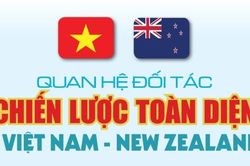 Infographic | Quan hệ Đối tác Chiến lược toàn diện Việt Nam - New Zealand