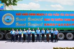 Yến sào Khánh Hòa xuất khẩu hơn 1 triệu USD trong 7 tháng