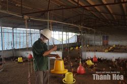 Nông dân mạnh dạn đầu tư ứng dụng công nghệ vào xử lý chất thải chăn nuôi