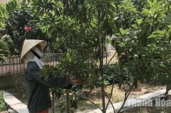 Ứng dụng khoa học - kỹ thuật vào sản xuất