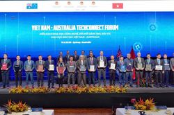 6 nhóm giải pháp về Chiến lược hợp tác quốc tế về các công nghệ chiến lược đến năm 2030