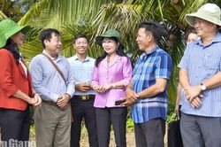 Nghiên cứu xây dựng thương hiệu tôm - cua - lúa Đông Thái
