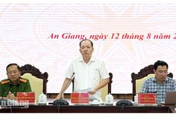 An Giang đẩy nhanh chiến dịch chuyển đổi số, lấy kết quả làm căn cứ đánh giá cán bộ