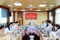 Nghiên cứu đề tài khoa học về nâng cao hiệu quả cấp cứu bệnh nhân chấn thương cơ quan vận động