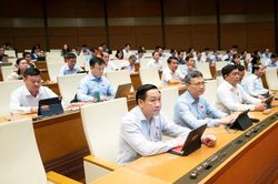 Sửa 10 luật về lĩnh vực nông nghiệp, môi trường: Tăng cường hậu kiểm và quản lý rủi ro