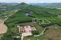Ứng dụng khoa học công nghệ để tìm kiếm, quy tập hài cốt liệt sĩ tại đồi Xuân Sơn