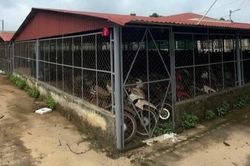 Gần 500 phương tiện bị tạm giữ nhưng chủ xe không đến nộp phạt