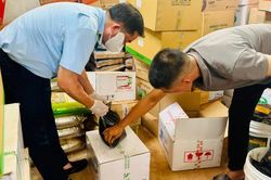 Gia Lai: Kinh doanh phân bón vi phạm về nhãn hàng hóa, 1 cơ sở bị phạt gần 40 triệu đồng