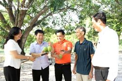 Nâng cao nhận thức cộng đồng về sở hữu trí tuệ