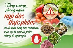 Tăng cường ph&ograve;ng ngừa ngộ độc thực phẩm do sử dụng động vật, c&ocirc;n tr&ugrave;ng, thực vật lạ v&agrave; thực phẩm kh&ocirc;ng r&otilde; nguồn gốc