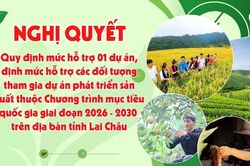 Nghị quyết Quy định mức hỗ trợ 01 dự án, định mức hỗ trợ các đối tượng tham gia dự án phát triển sản xuất thuộc Chương trình mục tiêu quốc gia giai đoạn 2026 - 2030 trên địa bàn tỉnh Lai Châu