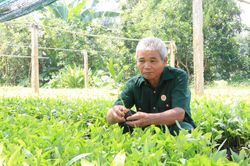 Cựu chiến binh vươn lên từ vốn ưu đãi