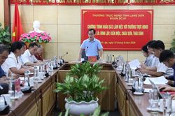 Thường trực HĐND tỉnh làm việc với một số xã